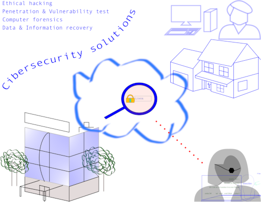 Ethical hacking, Penetration & Vulnerability test, Computer forensinc, Data & Information recovery